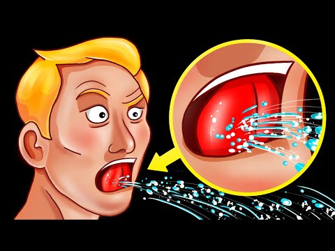 Esplorazione di oltre 60 fatti concisi sul corpo per menti curiose