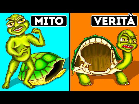 Le tartarughe non possono lasciare il guscio + 70 fatti su tutto