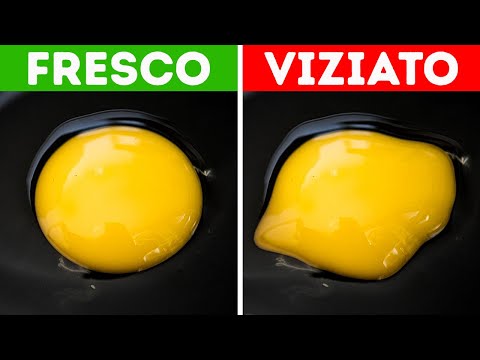 75 consigli per tenere la manica alzata in ogni situazione