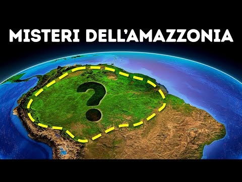 Le Formiche Creano Giardini del Diavolo nella Foresta Pluviale: Impressionante!