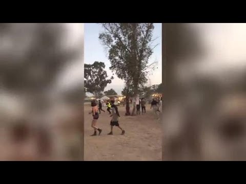 Primo allarme al rave, Darya in allerta