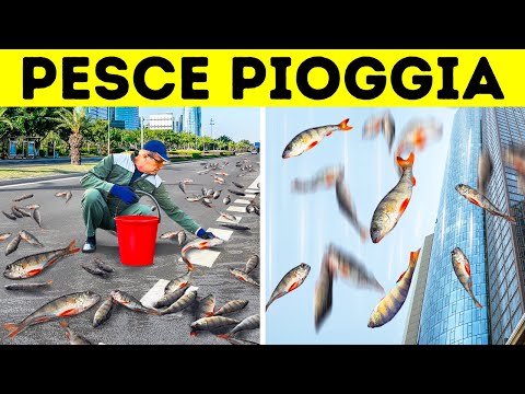 I 30 fenomeni naturali più strani che non crederete mai esistano