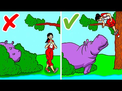 Come fare se dovessi incontrare un animale selvatico + come bonus alcuni consigli di sopravvivenza!