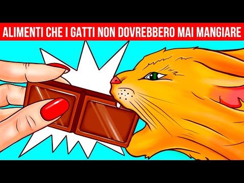 Perché gli animali domestici non possono mangiare il cioccolato e altri segreti degli animali