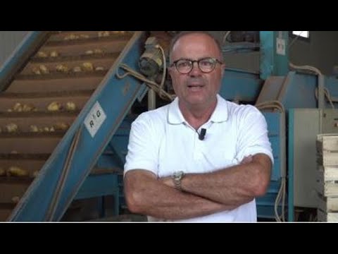 Fotovoltaico e packaging totalmente riciclabile: il percorso di Ceor, vincitrice del Bando per…