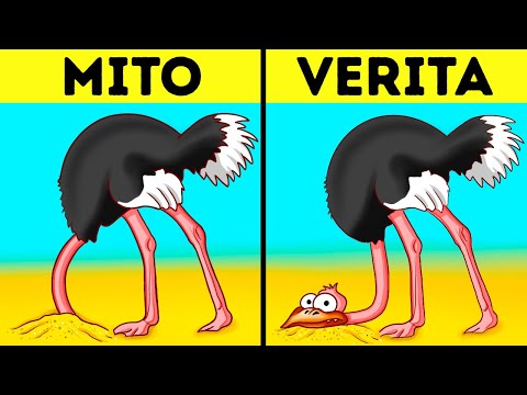 101 fatti affascinanti che vi terranno incollati