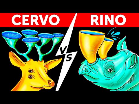 70 curiosità sugli animali che vi faranno impazzire!