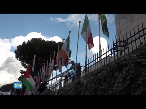 Tensioni al corteo pro Palestina a Roma: strappata la bandiera d’Israele dalla sede della Fao