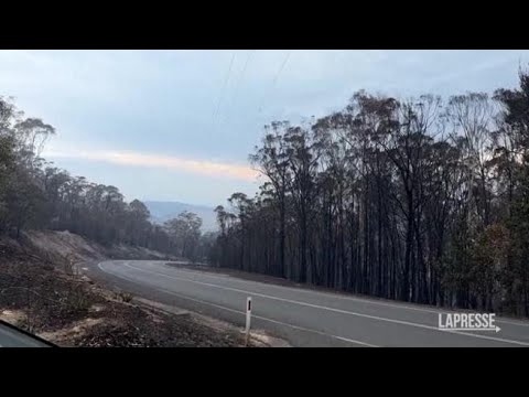 Australia, a fuoco la Bega Valley