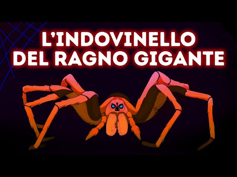 Risolvete l’Indovinello del Ragno e Dimostrate di Essere più Intelligenti degli Altri