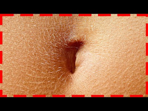 50+ verità inaspettate sul corpo umano rivelate!