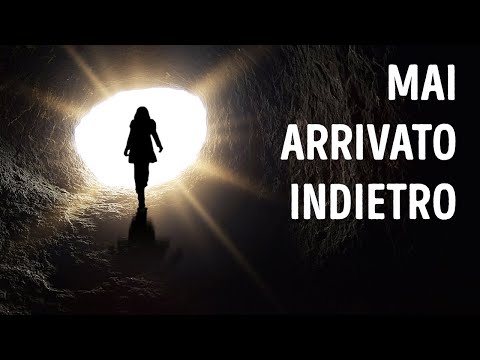 Storie vere e incredibili che non crederete mai siano accadute davvero