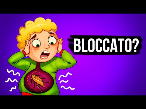 Cosa succede se si ingerisce uno scarafaggio vivo?