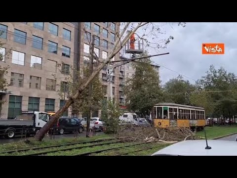 Nubifragio a Milano, albero cade sui tralicci del tram in zona Corso Sempione, linee ferme
