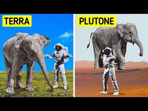 Come sarebbe la vostra vita su altri pianeti?