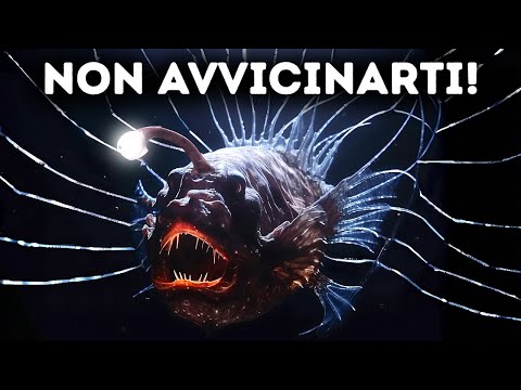 Lo Spaventoso Rituale di Accoppiamento dei Mostri delle Profondità Marine