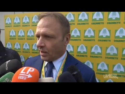 Caso Frecciarossa, Lollobrigida: «Nessun abuso, Trenitalia ha detto fosse lecito. Non mi dimetto»