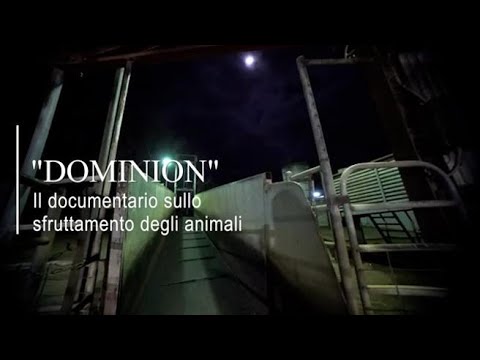 «Dominion», il documentario sullo sfruttamento degli animali