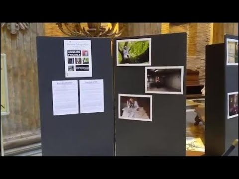 «Acciaio Fragile», chi chiede aiuto psicologico ci «mette la faccia»