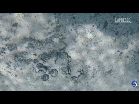 Sardegna, sul fondo del mare un deposito di monete del IV secolo
