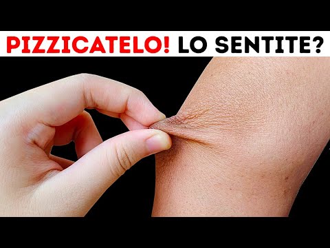 40+ cose sul vostro corpo che non vi hanno insegnato a SCUOLA