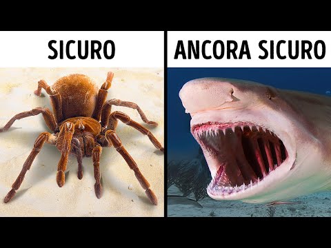 Oltre 70 fatti che vi faranno dire “Non lo sapevo!”.