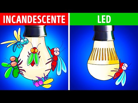 50+ consigli utili che vi faranno diventare dei professionisti della vita