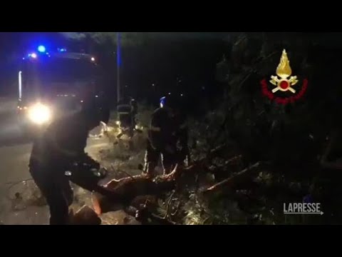 Maltempo, vento forte in Marche ed Emilia Romagna: gli interventi dei vigili del fuoco