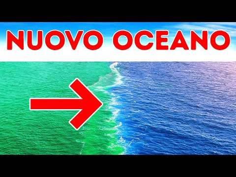 L’oceano si divide in due: preoccupazioni e ultimi aggiornamenti sull’universo