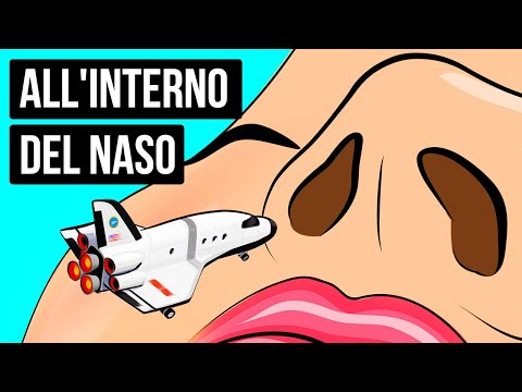Perché non riusciamo a sentire il sapore del cibo con il naso tappato + fatti divertenti sul corpo