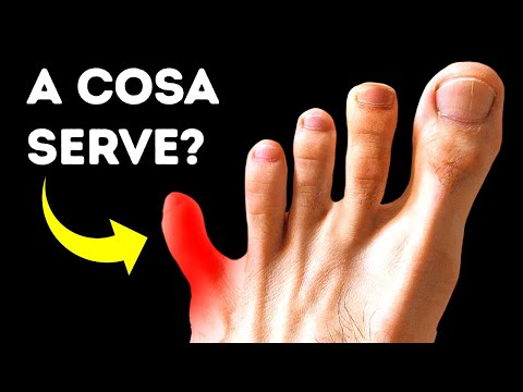 Parti del corpo che sono segretamente fantastiche