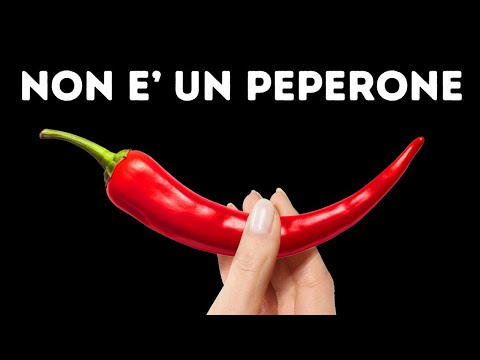 Ci Sbagliavamo Riguardo alle Spezie: Fatti Interessanti su Sapori e Odori