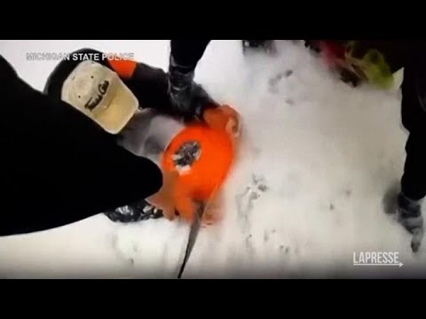 Michigan, un uomo cade in un lago ghiacciato: salvato grazie a Ruby, il suo cane