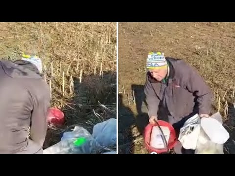 Verona, becca un uomo in campagna a buttare la spazzatura e lo obbliga a raccoglierla
