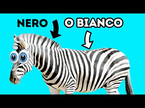 100 fatti animali incredibilmente interessanti che non avete mai sentito prima