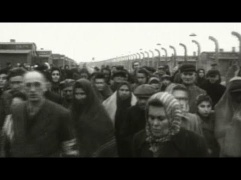 Shoah, eccovi i segreti del giorno della memoria