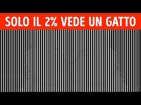 Le illusioni ottiche più insolite per confondere i tuoi amici!