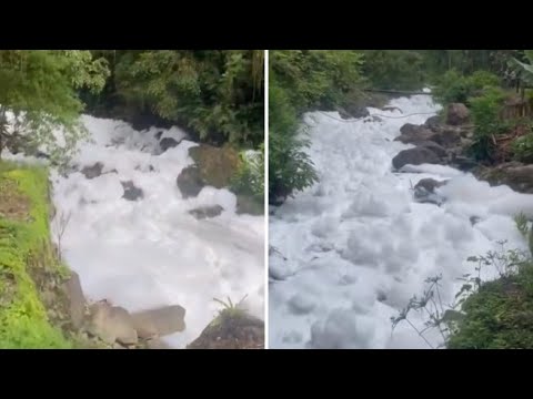 Una densa schiuma tossica ha invaso il fiume Rio Seco, in Brasile | Il video