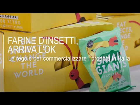 Le farine d’insetti arrivano anche in Italia: ecco come saranno utilizzate