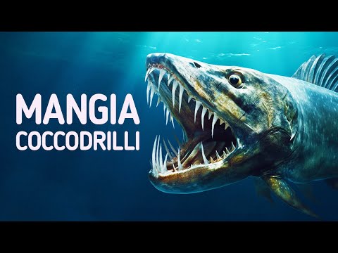 Questo pesce mangia i coccodrilli + 14 curiosità sugli animali