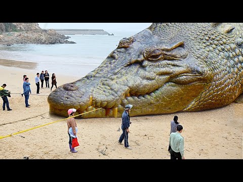 Fatti animali – Sembra spaventoso ma innocuo, e sembra innocuo ma spaventoso!