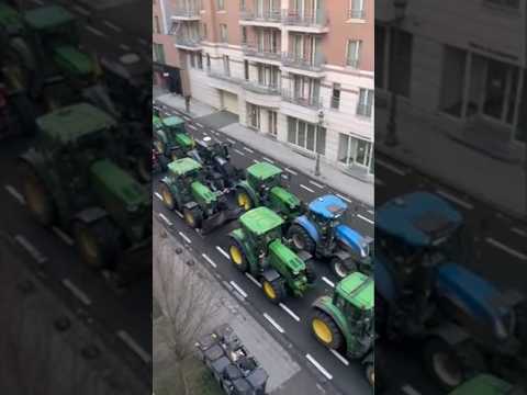 Protesta degli agricoltori: a Bruxelles i trattori bloccano l’accesso al Parlamento Europeo #shorts