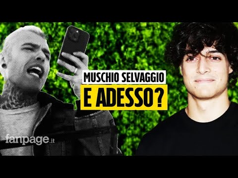 Luis Sal vince la prima causa con Fedez: sequestrata la quota di Muschio Selvaggio del rapper