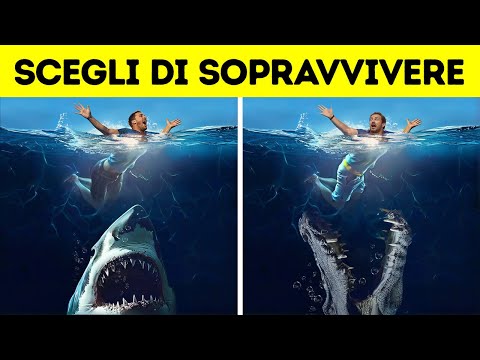 Le 10 Scelte più Difficili da Fare per Sopravvivere