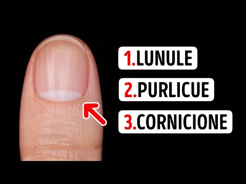 Conosci i Nomi di queste Cose?