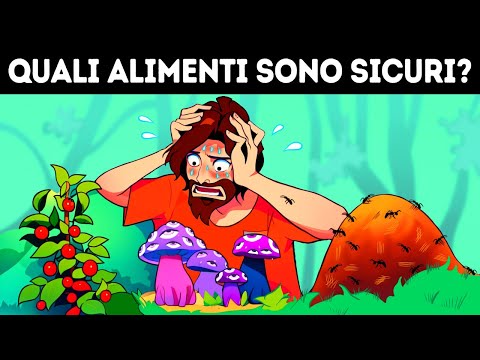 12 Enigmi Cerebrali Che Non Risolverai Anche Se Dai Il Massimo