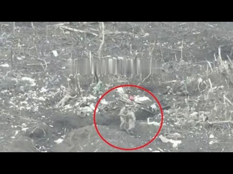 Prigionieri di guerra ucraini giustiziati: il video dalla regione di Zaporizhzhia