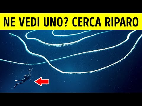 7 Creature Bizzarre che la Scienza ha appena Scoperto