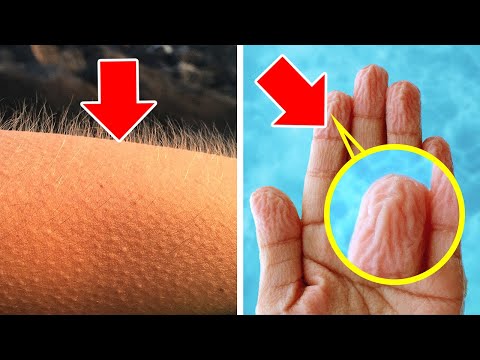 90 Fatti Che Non Sapevi Di Voler Sapere
