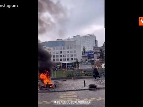 Trattori di nuovo a Bruxelles, letame e patate davanti al Parlamento Ue